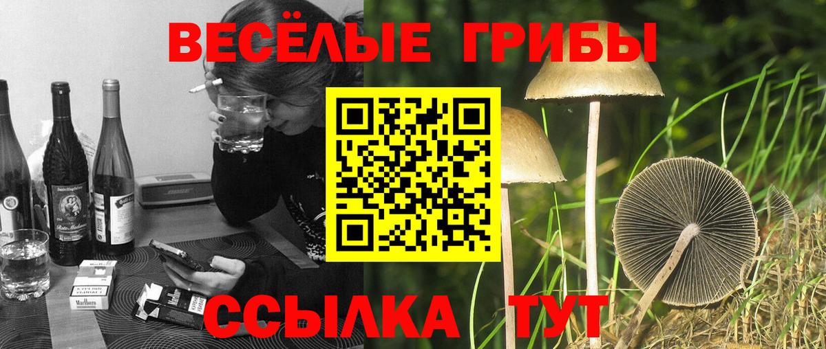 Галлюциногенные грибы прущие грибы Балахна